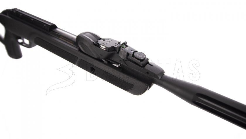 Carabine à air comprimé Gamo Roadster IGT 10X GEN2 4,5mm