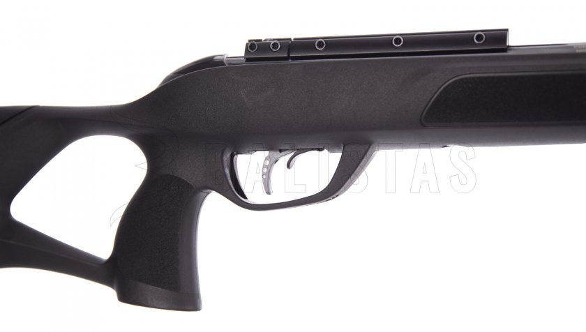 Carabine à air comprimé Gamo Roadster IGT 10X GEN2 4,5mm