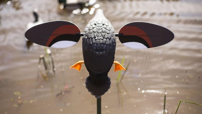 Balabán MOJO Gadwall - Canard Kopřivka