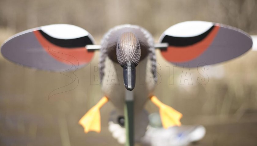Balabán MOJO Gadwall - Canard Kopřivka