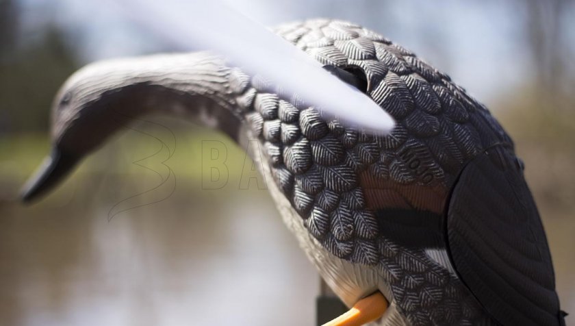 Balabán MOJO Gadwall - Canard Kopřivka