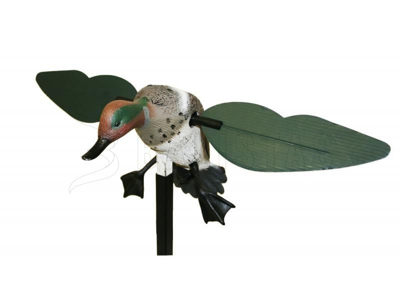 Balabán MOJO Teal - Sarcelle d'hiver