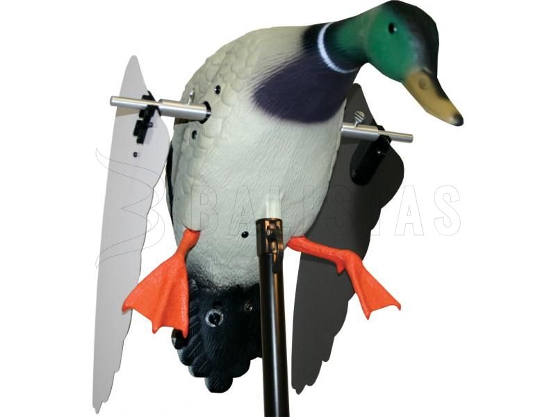Balabán MOJO Super Mallard – Canard colvert sauvage