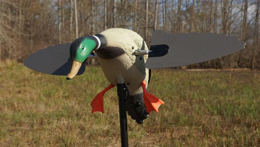 Balabán MOJO Super Mallard – Canard colvert sauvage