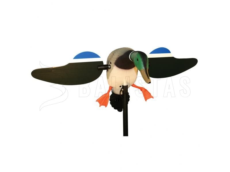 Balabán MOJO Mallard Drake - canard colvert sauvage avec télécommande