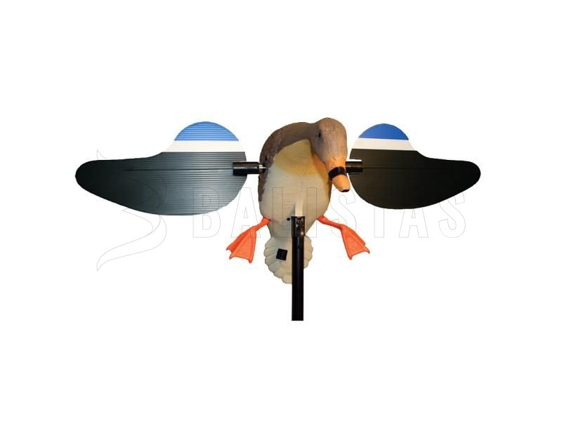 Balabán MOJO Mallard Hen - Canard Sauvage