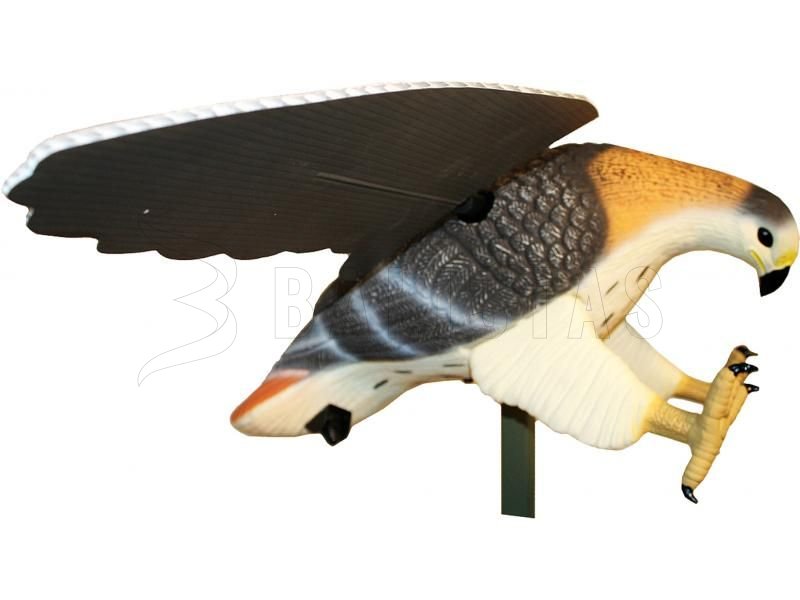 Balabán MOJO Hawk - faucon