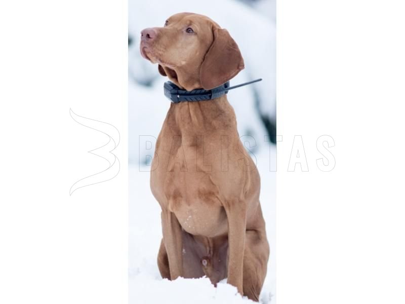 Traceur GPS Dogtrace DOG GPS X22 pour 2 chiens