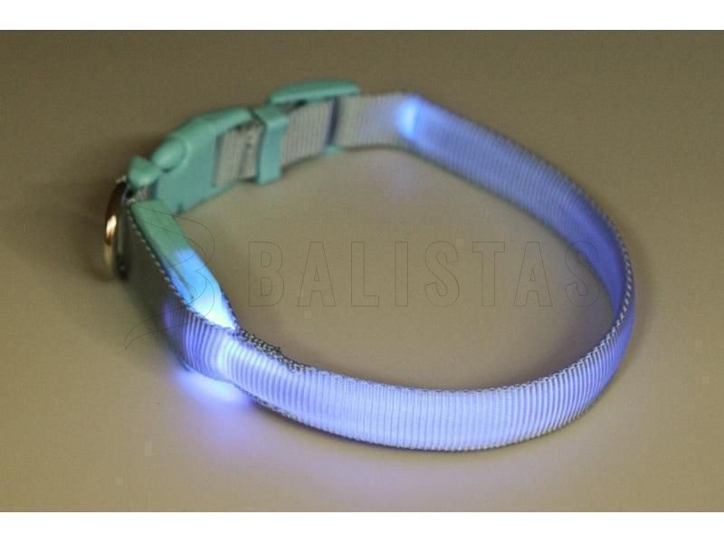 Collier lumineux pour chien 28-38cm