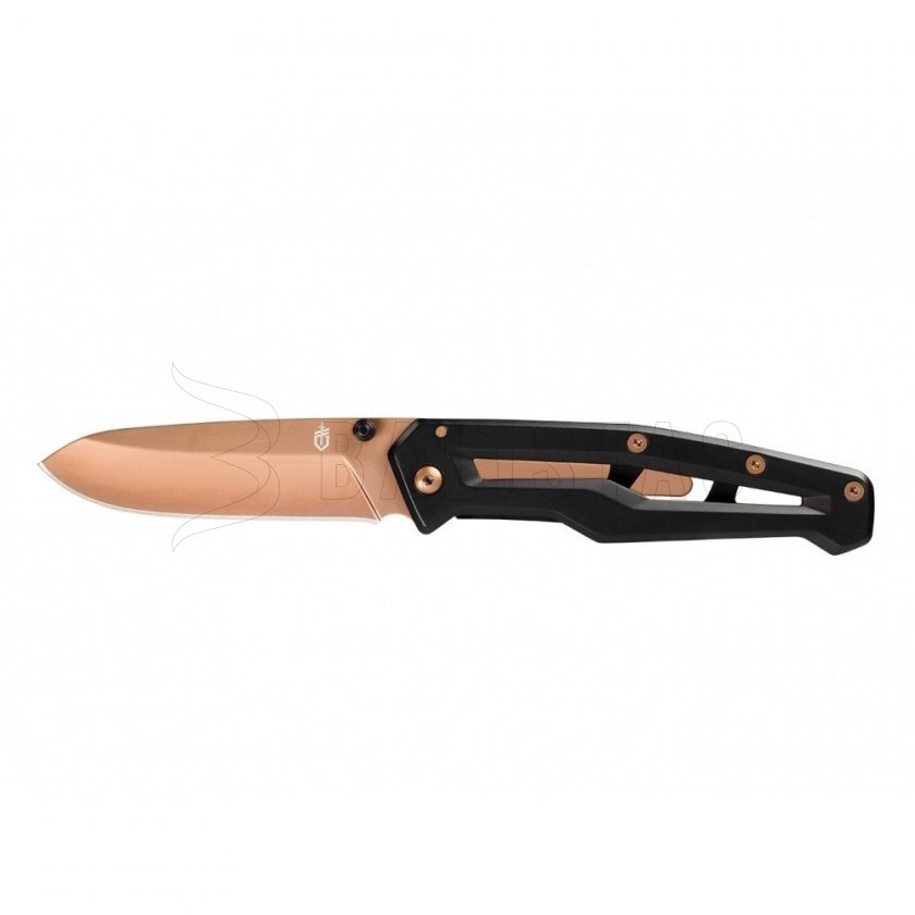 Set Gerber Dime Noir + Paralite Rose