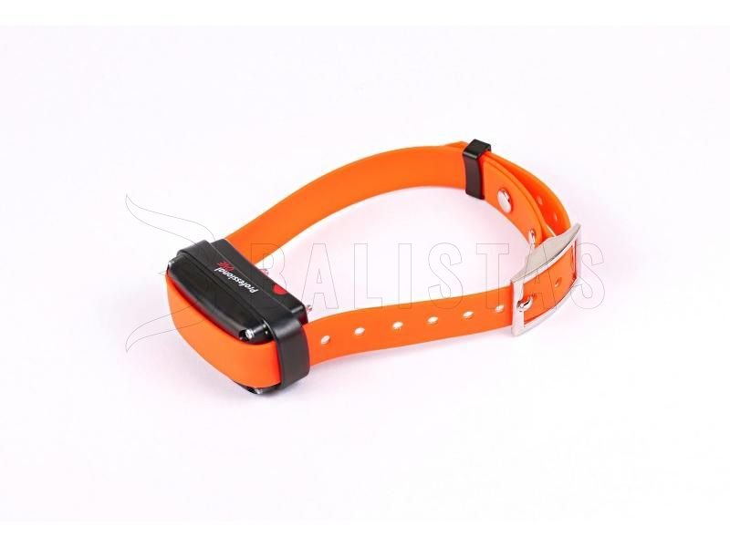 Collier Dogtrace d-control professional 2000 One orange
