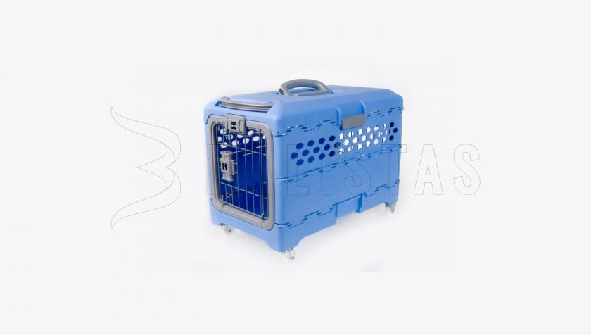 Caisse de transport plastique Dogtrace