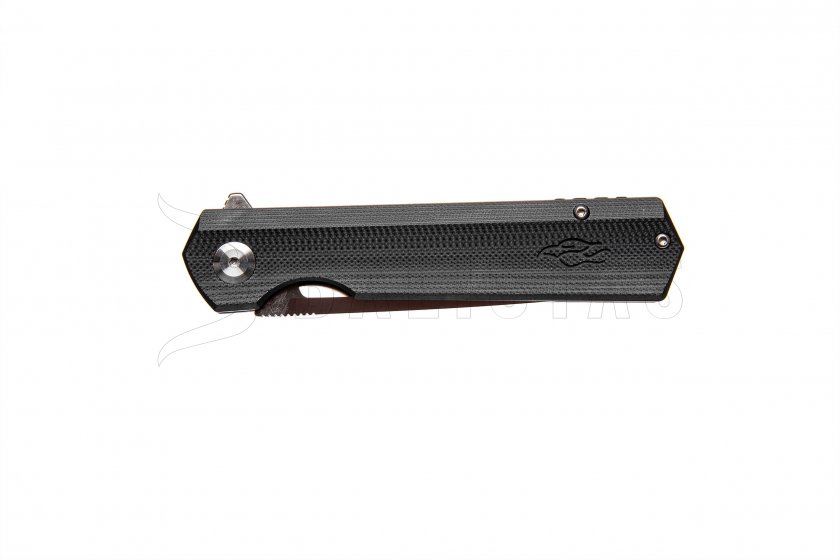Couteau pliant Ganzo Firebird FH11-BK noir