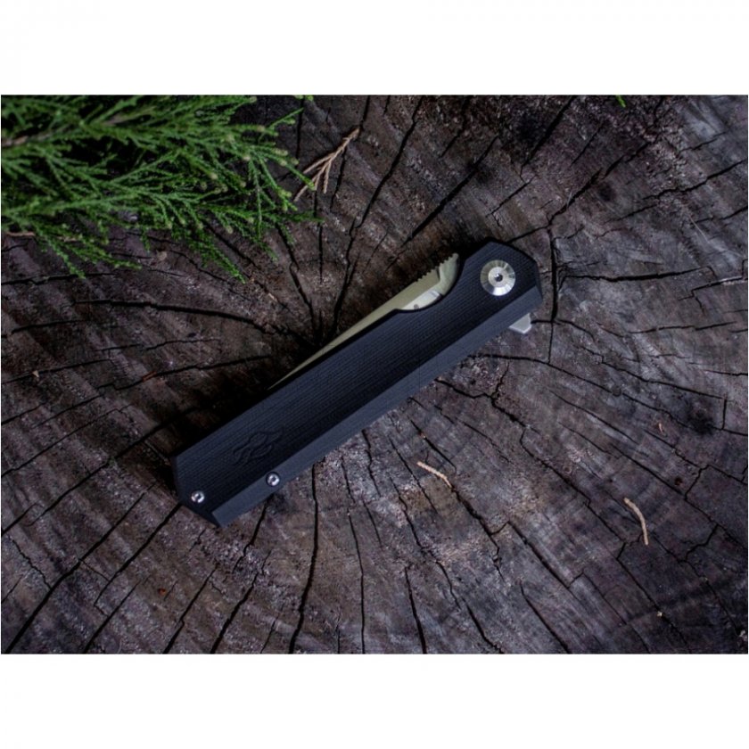 Couteau pliant Ganzo Firebird FH11-BK noir