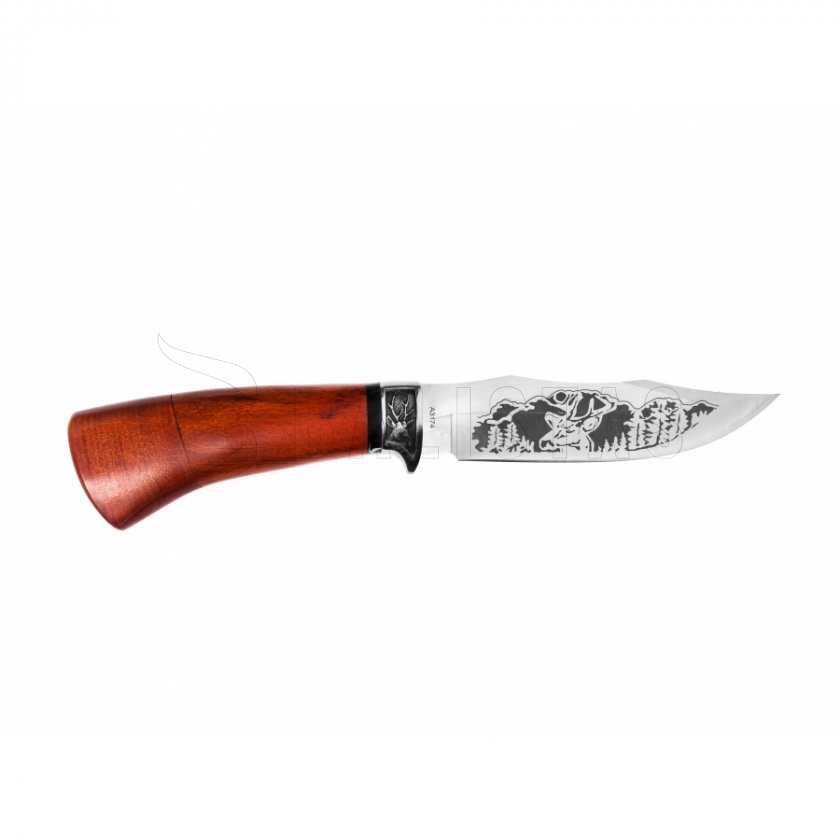 Couteau de chasse Kandar N55