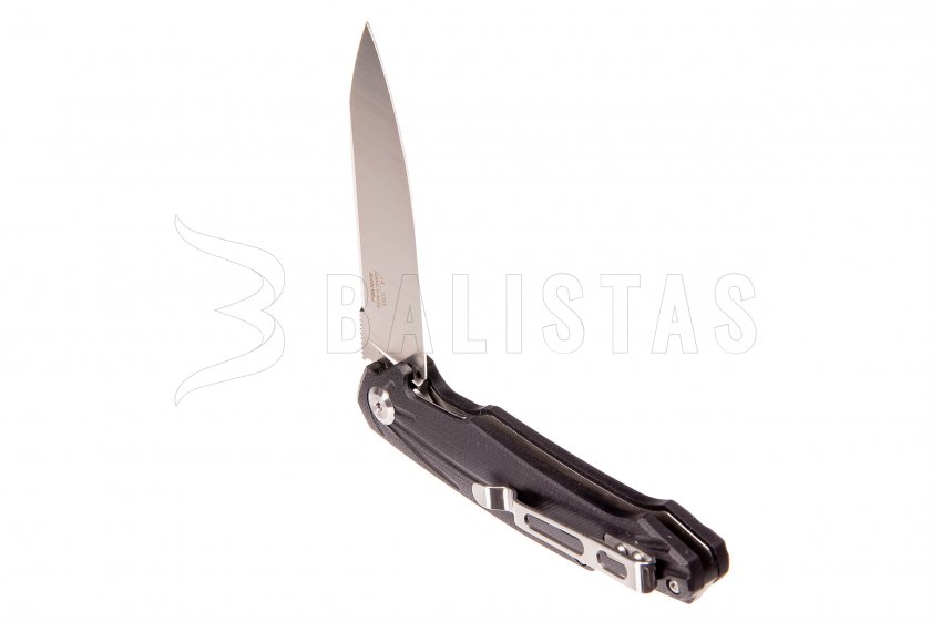 Couteau pliant Ganzo Firebird FH21-BK