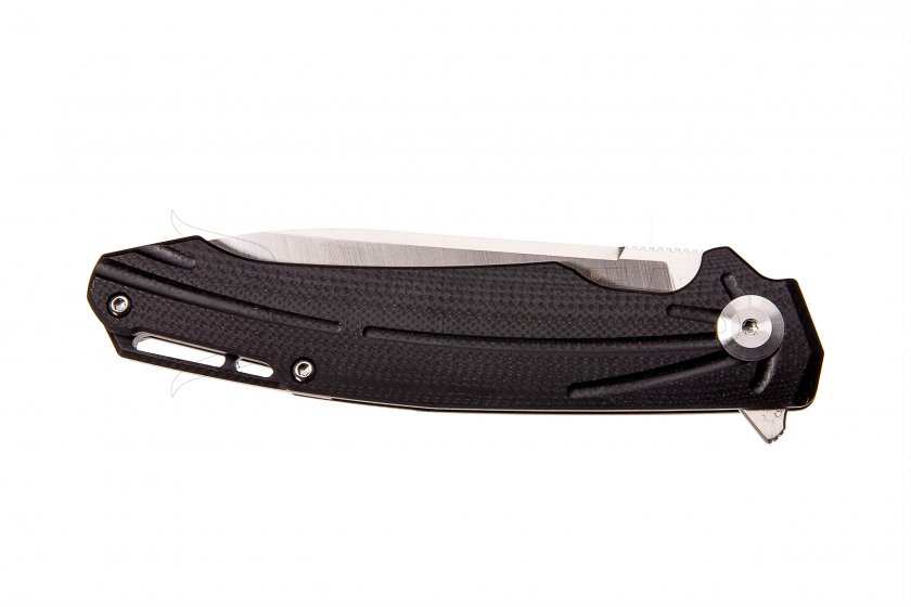 Couteau pliant Ganzo Firebird FH21-BK