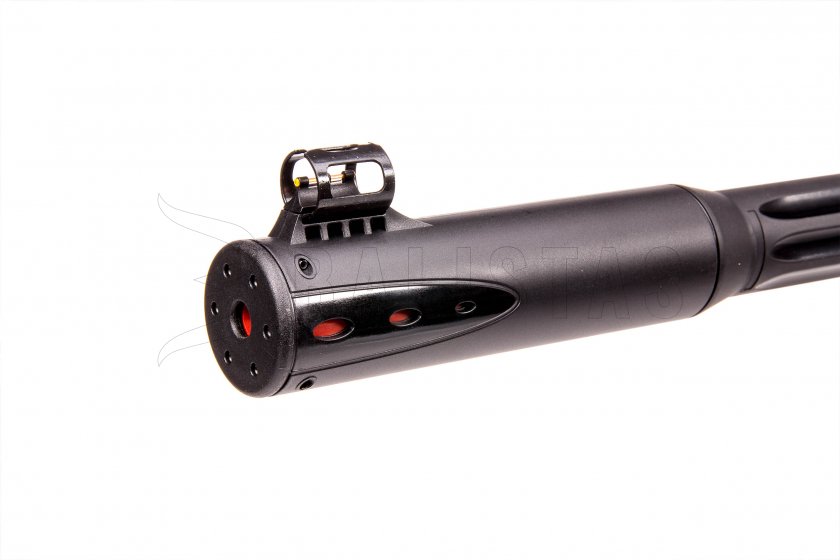 Carabine à air comprimé Gamo Roadster IGT 10X GEN2 5,5mm