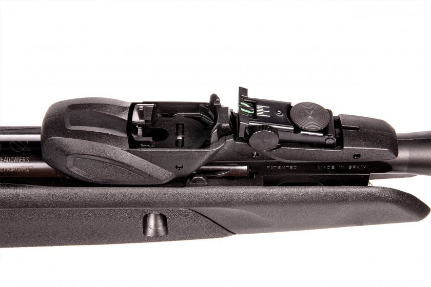 Carabine à air comprimé Gamo Speedster IGT 10x 5,5mm