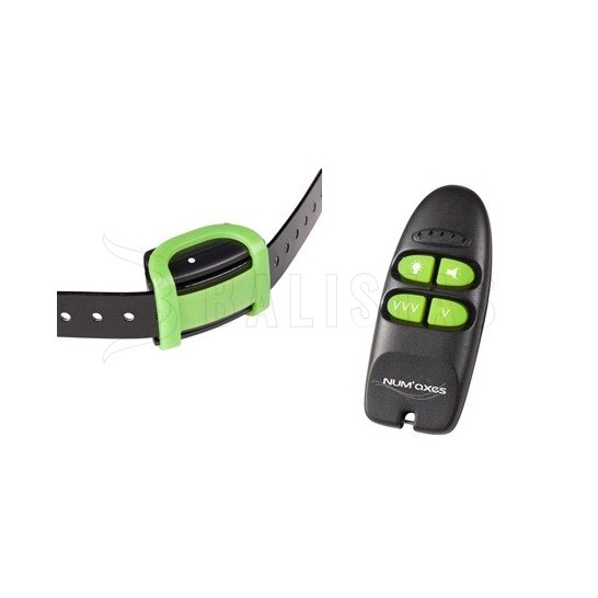 Collier de dressage Eyenimal Training Soft