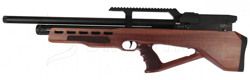 Carabine à air comprimé Evanix Raptor 5,5mm