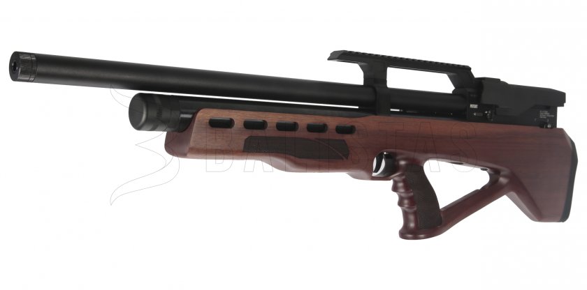 Carabine à air comprimé Evanix Raptor 5,5mm