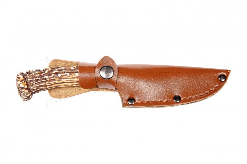 Couteau Kandar paroh N14 (14)