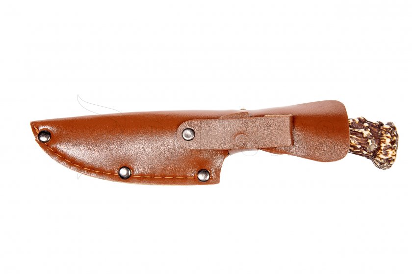 Couteau Kandar paroh N14 (14)