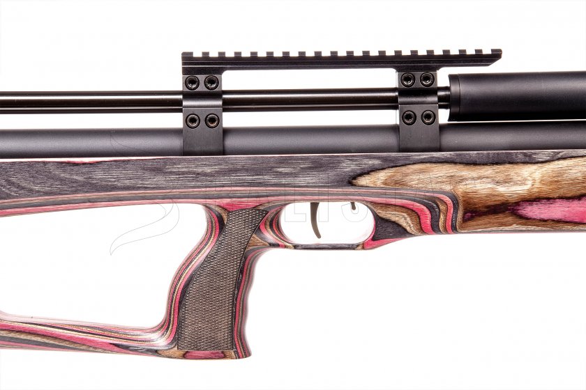Carabine à air Taipan Veteran Standard 5,5mm Red