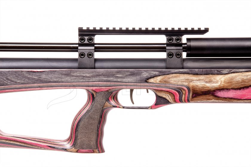 Carabine à air comprimé Taipan Veteran Long 5,5mm Red