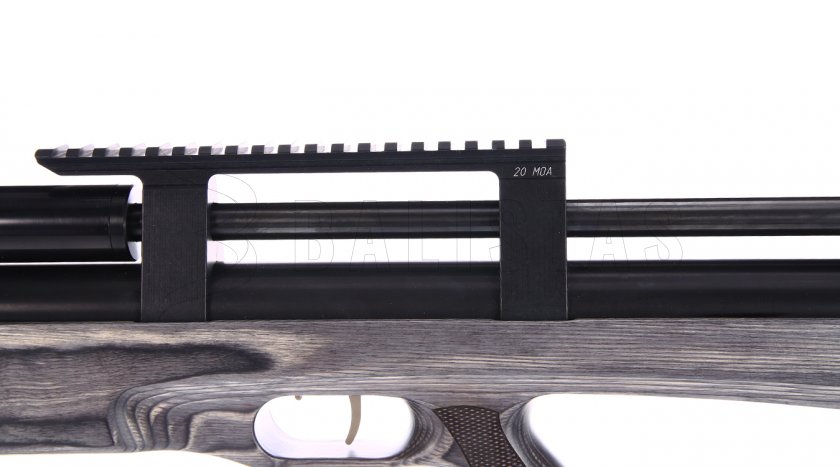 Carabine à air comprimé Taipan Veteran Long 5,5mm Laminate