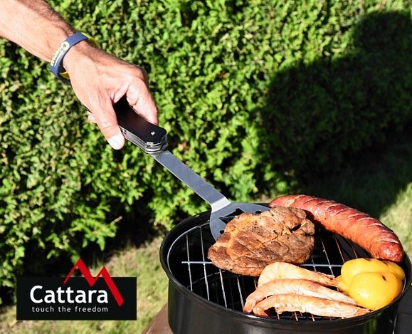 Outils pour grillades 5in1