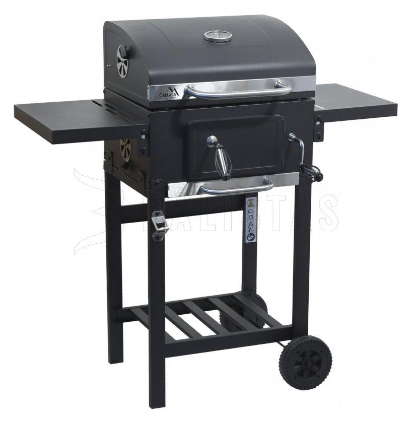 Gril au charbon de bois ROYAL PARTNER grille en fonte