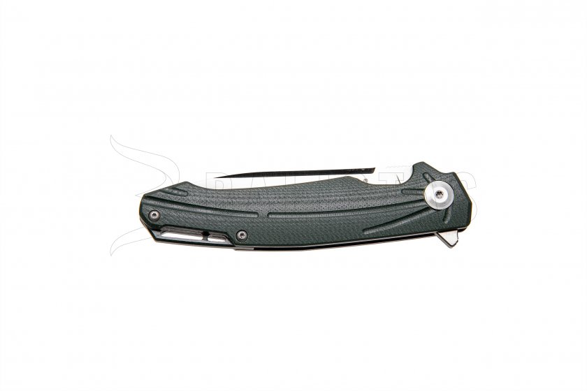 Couteau pliant Ganzo Firebird FH21 vert