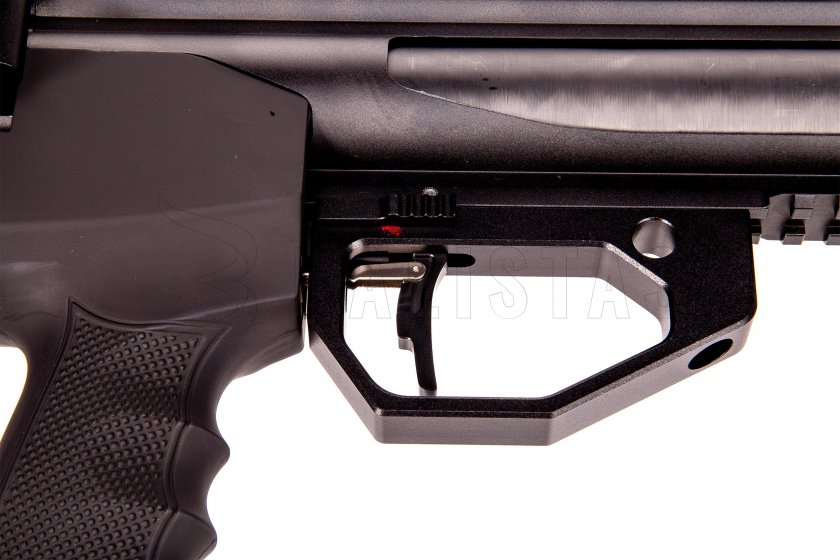 Carabine à air comprimé Evanix Max Air II 5,5mm Carbon S