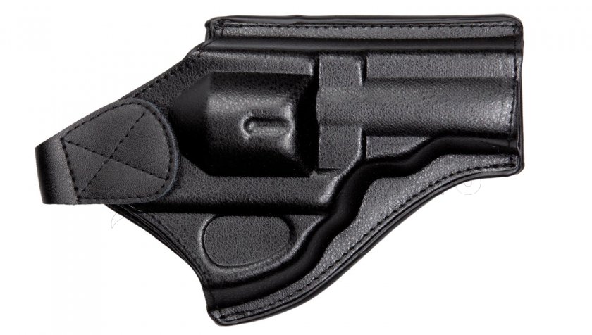 Holster Dan Wesson 715 ASG