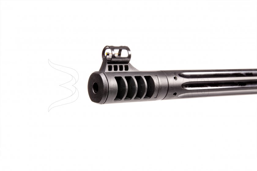 Carabine à air comprimé Gamo Speedster IGT 10x GEN2 4,5mm - 24J