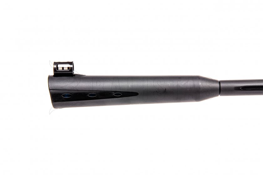 Carabine à air Gamo Whisper X 5,5mm - 24J
