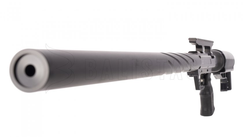 Carabine à air comprimé Evanix Rex-FA 5,5mm