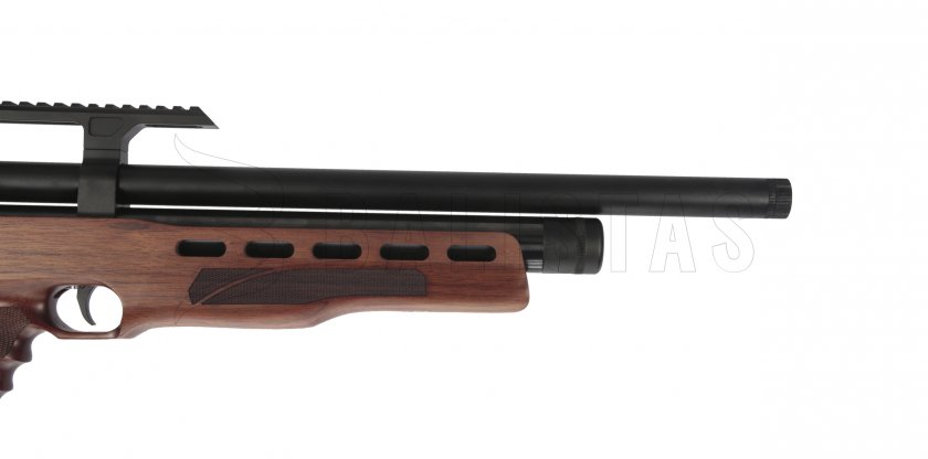 Evanix Raptor 6,35mm carabine à air comprimé