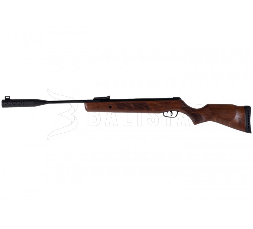 Carabine à air comprimé BSA GRT Meteor Evo Silentium 4,5mm