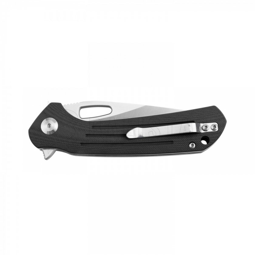Couteau de fermeture Ganzo Firebird FH921 noir