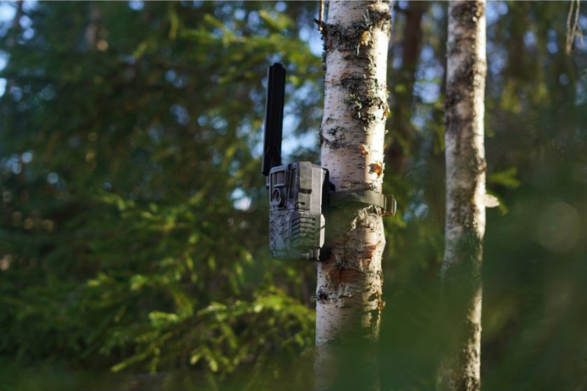 Piège photographique Hikmicro M15