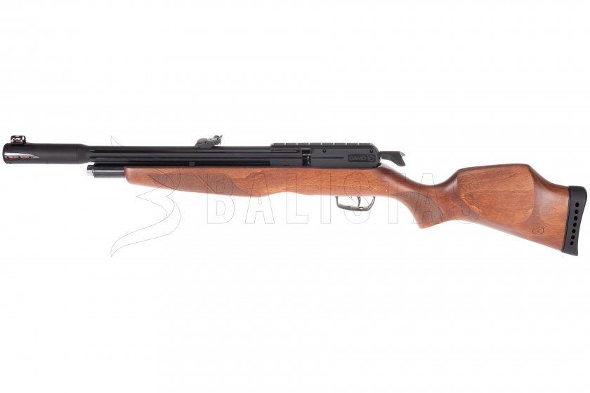 Gamo Riser Punisher 5,5mm carabine à air comprimé