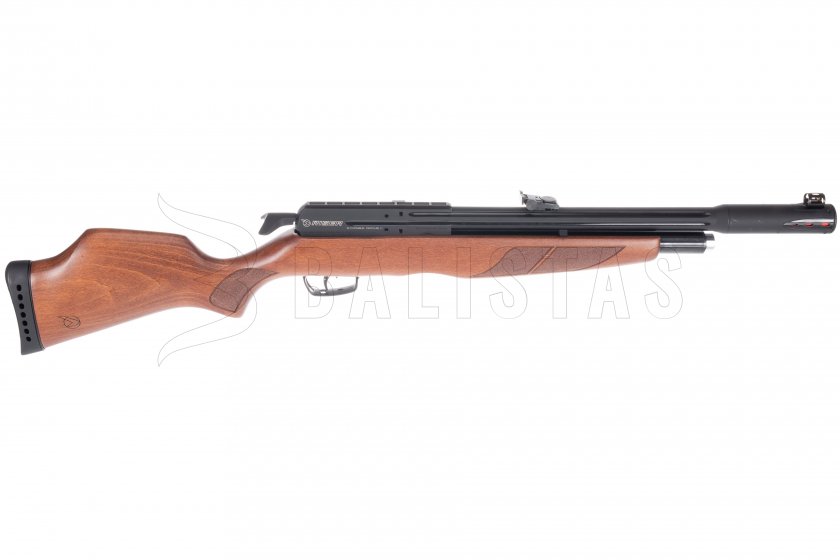 Gamo Riser Punisher 5,5mm carabine à air comprimé