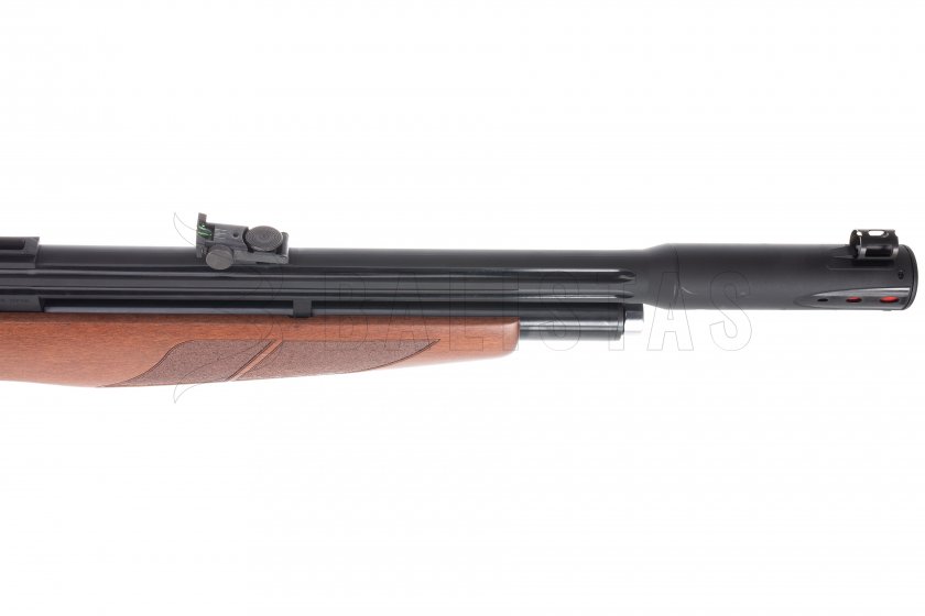 Gamo Riser Punisher 5,5mm carabine à air comprimé