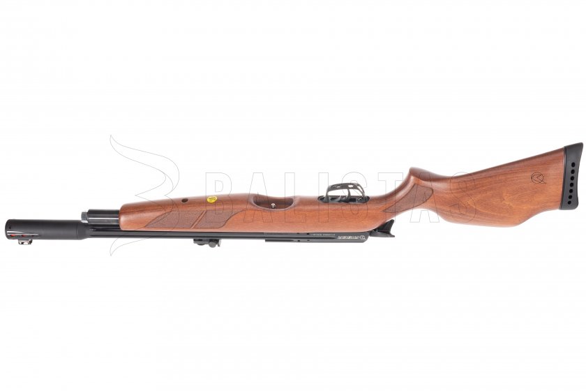 Gamo Riser Punisher 5,5mm carabine à air comprimé
