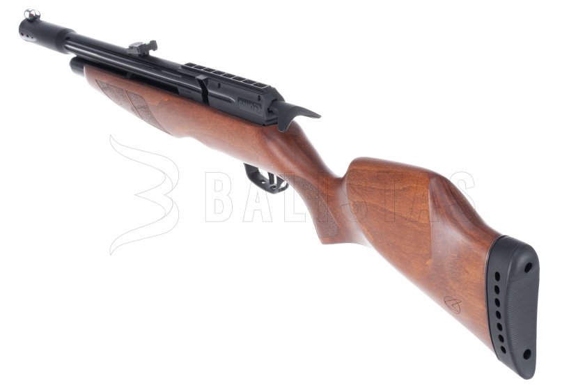 Gamo Riser Punisher 5,5mm carabine à air comprimé
