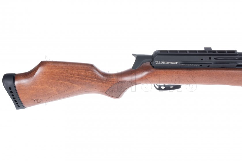 Gamo Riser Punisher 5,5mm carabine à air comprimé