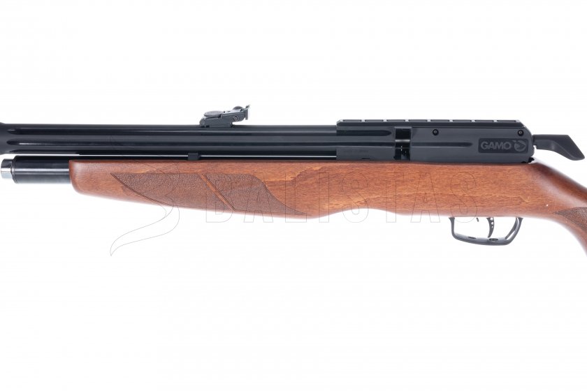 Gamo Riser Punisher 5,5mm carabine à air comprimé
